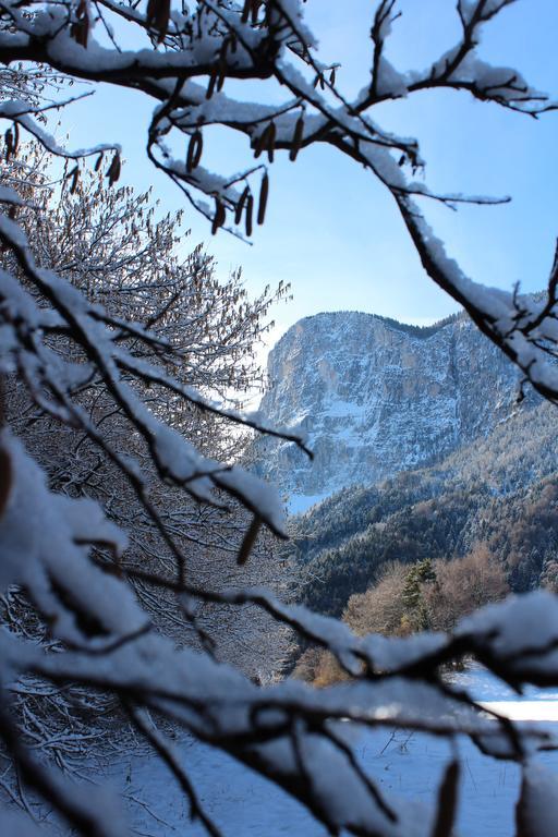 Tinnerhof Appiano Sulla Strada Del Vino Dış mekan fotoğraf