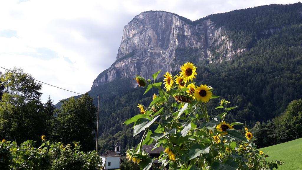Tinnerhof Appiano Sulla Strada Del Vino Dış mekan fotoğraf