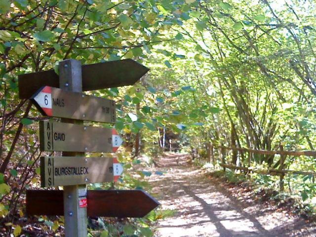 Tinnerhof Appiano Sulla Strada Del Vino Dış mekan fotoğraf